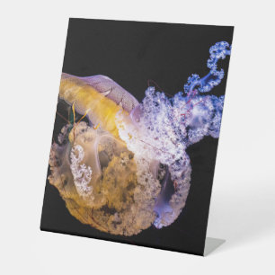 Kunststoff-Sockel-Schild 25x30 cm Sockelschild