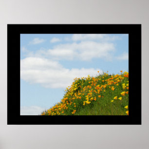 Kunstvolle Drucke Blaue Himmel Sommer Mohn Wiese