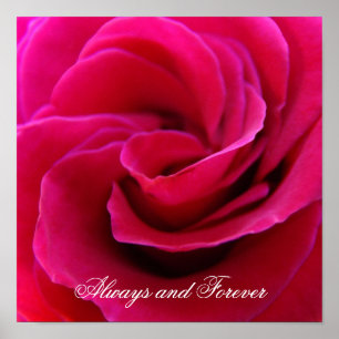 Kunstwerke für Immer und Ewig Rosa Rosen Hochzeit Poster