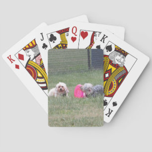Kupfer-und Penny-Spielkarten Spielkarten