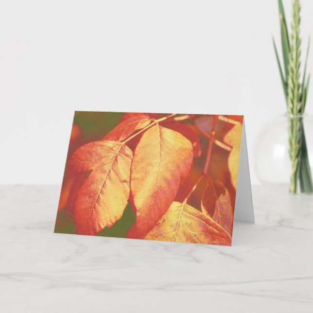 Kupferorangen-Herbstlaub Art Note Card Karte (Vorderseite)