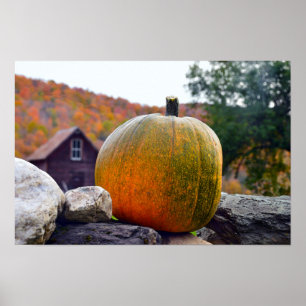 Kürbis auf einer Steinmauer in Vermont im Herbst Poster