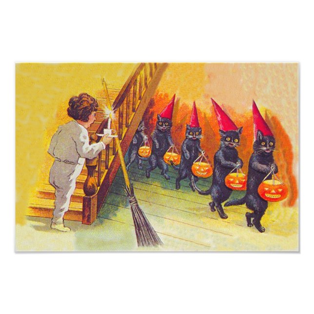 Kürbis-Besen des schwarze Katzen-Jack-O Lanter Fotodruck (Vorne)