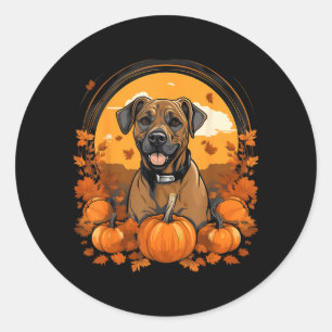Kürbis Black Mouth Cur Hund Halloween Erntedankfes Runder Aufkleber