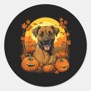 Kürbis Black Mouth Cur Hund Halloween Thanksgiving Runder Aufkleber
