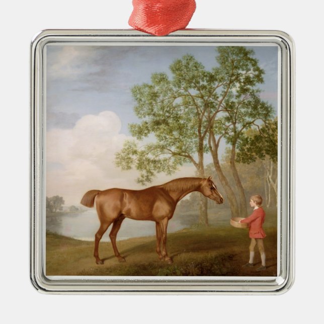 Kürbis Georges Stubbs | mit einem Stabil-Jungen Silbernes Ornament (Vorne)