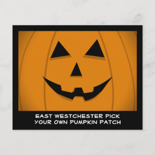 Kürbis-Grafik-Flugblatt zum Halloween-Jack-O-Lante Flyer