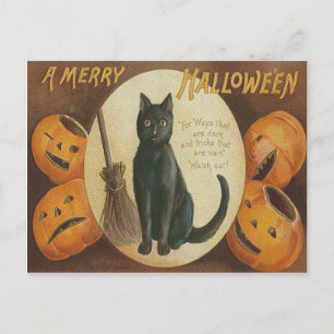 Kürbis-Jack-O'-Lantern-Schwarze-Katzen-Besen Postkarte
