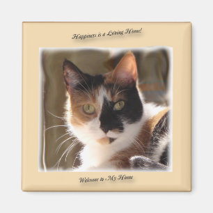 Kürbis-Katzen-Glück-Magnet Magnet