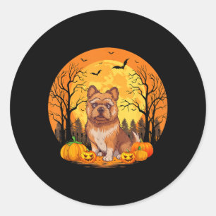 Kürbis mit lustigem Halloween-Kostüm Brüssel Runder Aufkleber