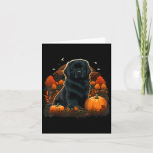 Kürbis-Newfie-Hundekostüm auf Neufundländer Hund Karte