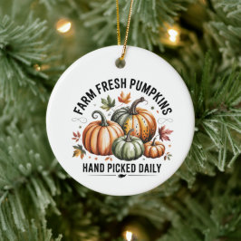 Kürbis-Ornament 'Farmfrisch' Keramik Ornament