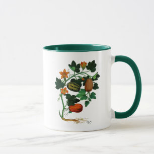 Kürbis-Rebe 1 Tasse