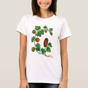Kürbis-Rebe 3 T-Shirt