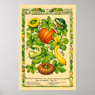 Kürbis Retro viktorianische botanische Kunst Poster