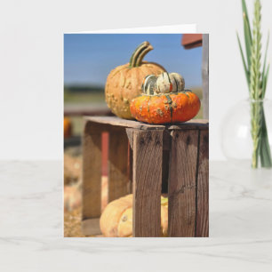 Kürbis- und Gourd-Karte Karte