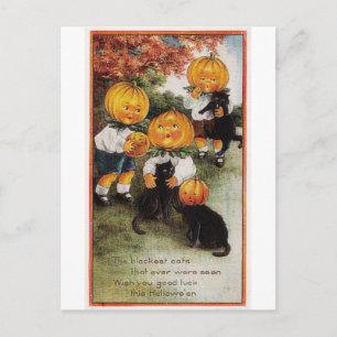 Kürbis und Katzen Vintages Halloween Postkarte