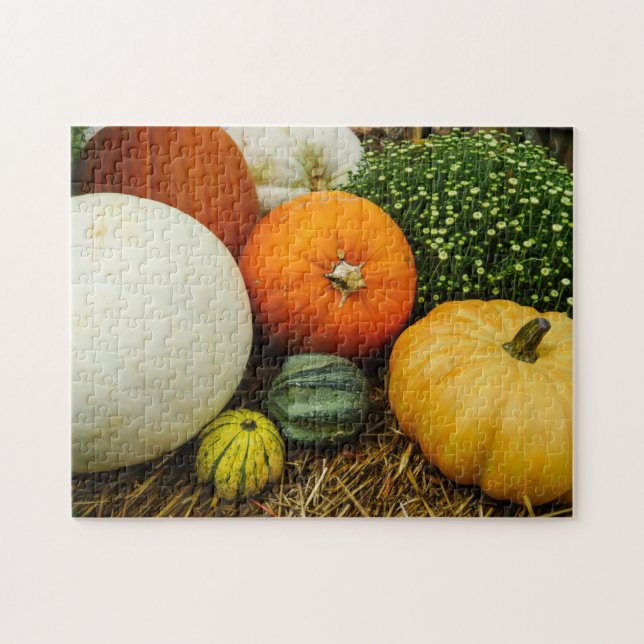 Kürbis und Kürbis (Horizontal)