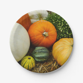 Kürbis und Kürbis Pappteller