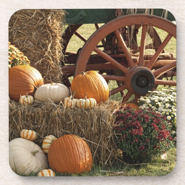 Kürbis und Mummeranzeige im Herbst Untersetzer (Vorderseite)