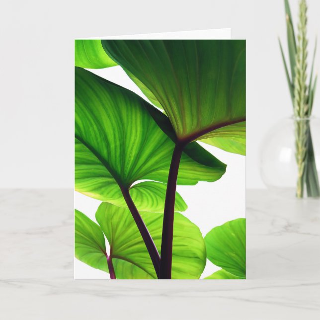 Kürbis verlässt BlumenFoto Feiertagskarte (Vorderseite)
