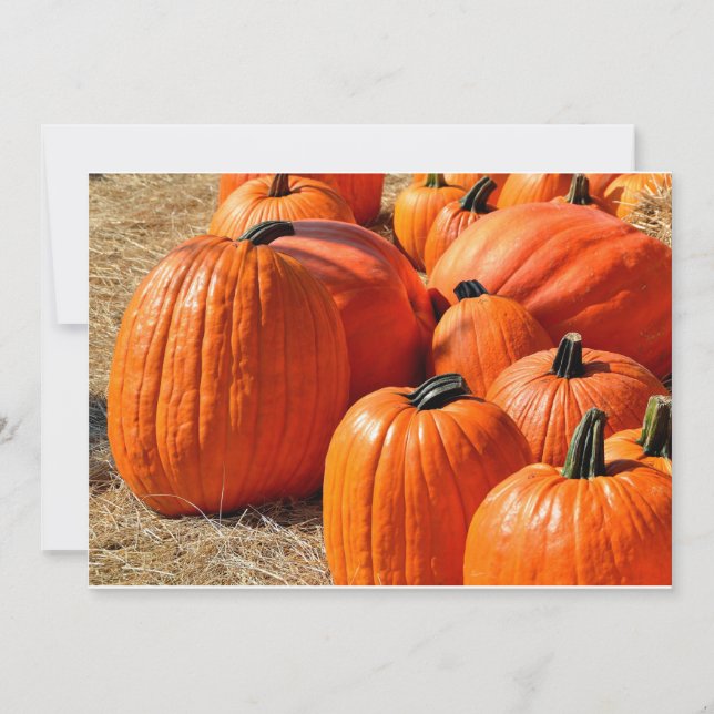 Kürbis zum Verkauf (Vorderseite)