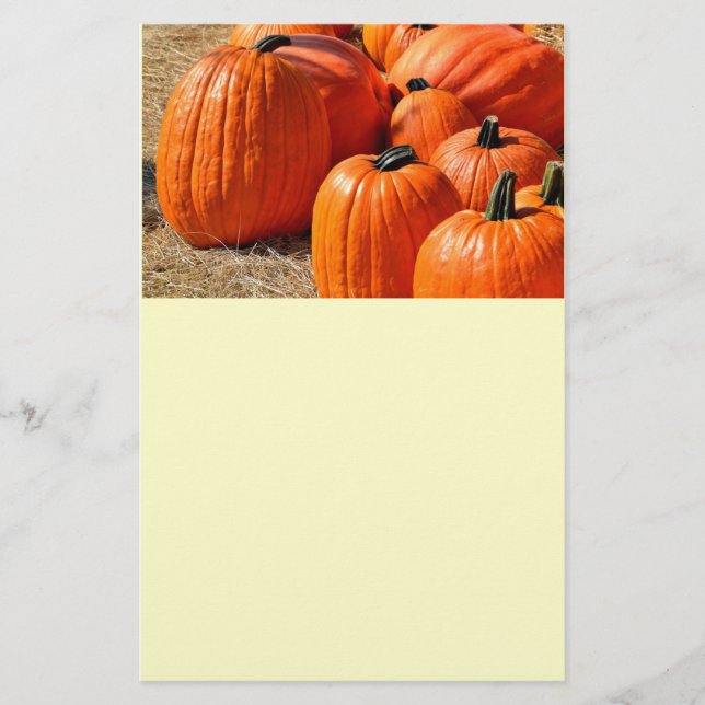 Kürbis zum Verkauf Flyer (Vorne)