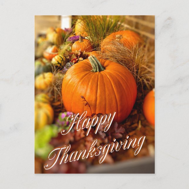 Kürbisanzeige Postkarte (Vorderseite)