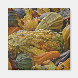 Kürbisart Magnet