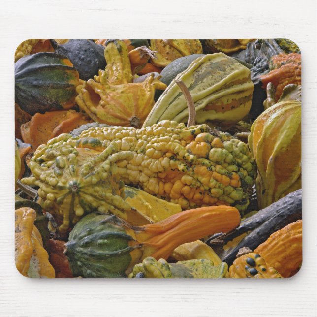 Kürbisart Mousepad (Vorne)