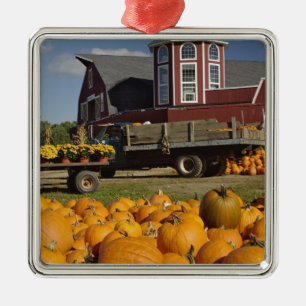 Kürbise auf Bauernhof im Herbst nahe Silbernes Ornament