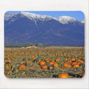 Kürbisfeld Flathead Valley Montana Mousepad