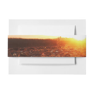Kürbisfeld Sonnenuntergang B Einladungsbanderole