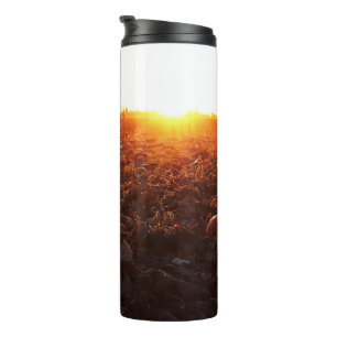 Kürbisfeld Sonnenuntergang B Thermosbecher
