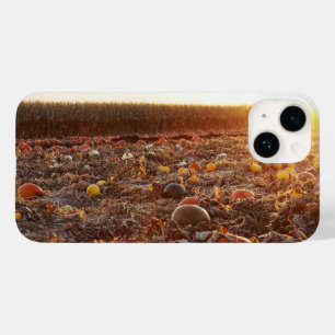 Kürbisfeld Sonnenuntergang C Case-Mate iPhone 14 Hülle