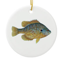 Kürbisfisch