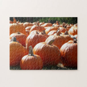 Kürbisfoto für Herbst, Halloween oder Erntedankfes
