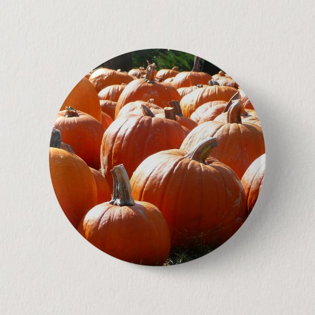 Kürbisfoto für Herbst, Halloween oder Erntedankfes Button (Vorderseite)