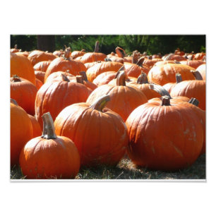 Kürbisfoto für Herbst, Halloween oder Erntedankfes Fotodruck