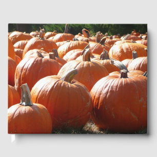 Kürbisfoto für Herbst, Halloween oder Erntedankfes Gästebuch