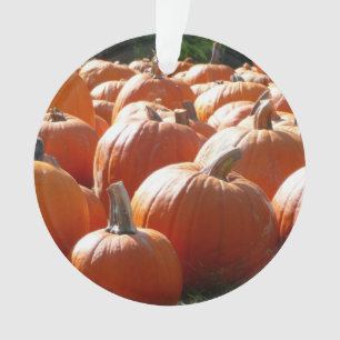 Kürbisfoto für Herbst, Halloween oder Erntedankfes Ornament