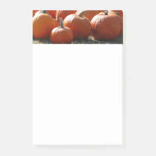 Kürbisfoto für Herbst, Halloween oder Erntedankfes Post-it Klebezettel