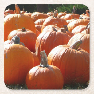 Kürbisfoto für Herbst, Halloween oder Erntedankfes Rechteckiger Pappuntersetzer