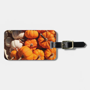 Kürbishalloween Kürbislaterne-Orangenkürbis Gepäckanhänger