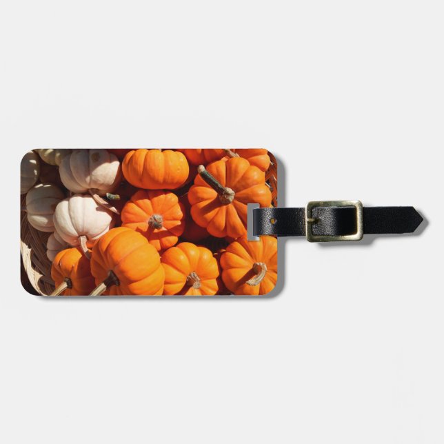 Kürbishalloween Kürbislaterne-Orangenkürbis Gepäckanhänger (Vorderseite horizontal)