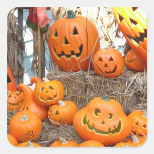 Kürbishalloween Kürbislaterne-Orangenkürbis Quadratischer Aufkleber