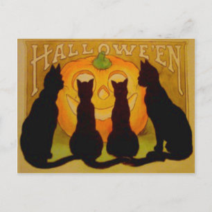 Kürbisjack mit schwarzer Katze Postkarte