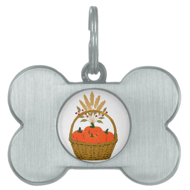 Kürbiskorb des Herbstes Tiermarke (Vorderseite)