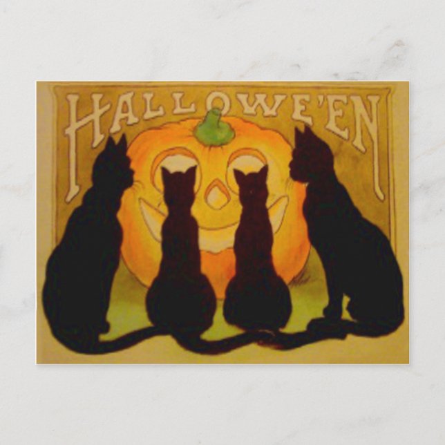 Kürbislaterne Pumpkin Black Cat Postkarte (Vorderseite)
