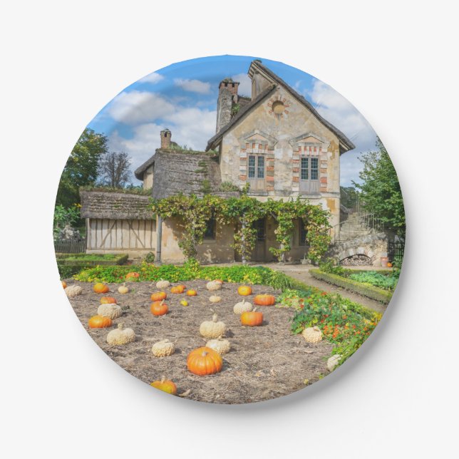 Kürbispflaster und Papierteller (Vorderseite)